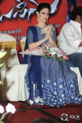 Alludu Seenu Movie Platinum Disc Function